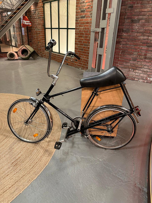 Swingbike / Reitrad aus den 1980er Jahren - Esther-Ollick.shop